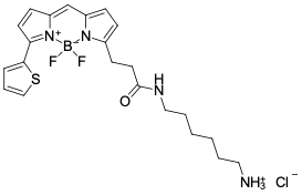 BDP 558/568 АМИН, 1 MG, 174C0