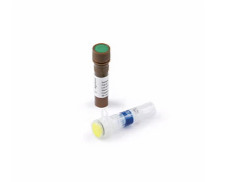НАБОР РЕАГЕНТОВ GENOMIC DNA REAGENTS (105 ОБРАЗЦОВ), АРТ. 5067-5366, AGILENT TECHNOLOGIES