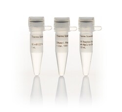 ДЕЗОКСИРИБОНУКЛЕАЗА I (НЕ СОДЕРЖИТ РНКАЗ), 1 Е.А./МКЛ, 1000 Е.А., АРТ. EN0521, THERMO FISHER SCIENTIFIC