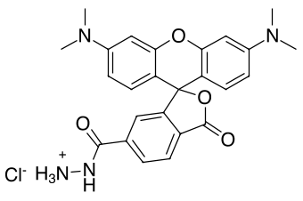 TAMRA ГИДРАЗИД, 6-ИЗОМЕР, 5 MG, 28170