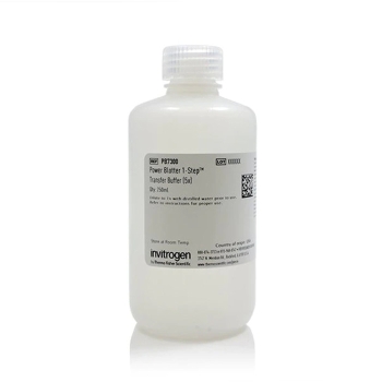 БУФЕР ДЛЯ ПЕРЕНОСА БЕЛКОВ POWER BLOTTER 1-STEP™ (5X), 1 Л, АРТ. PB7300, THERMO FISHER SCIENTIFIC