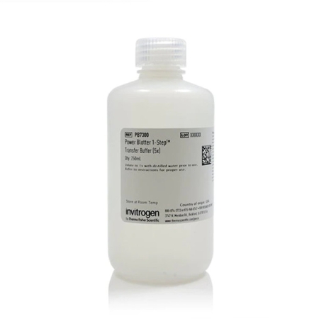 БУФЕР ДЛЯ ПЕРЕНОСА БЕЛКОВ POWER BLOTTER 1-STEP™ (5X), 1 Л, АРТ. PB7300, THERMO FISHER SCIENTIFIC