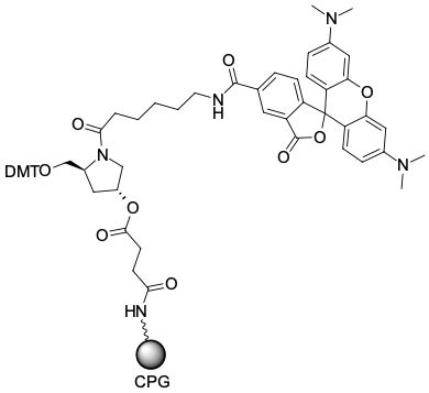 TAMRA CPG 500, 5-ИЗОМЕР, 1 G, 2792-1G