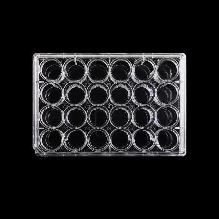 ПЛАНШЕТЫ 24-ЛУНОЧНЫЕ СТЕРИЛЬНЫЕ (24-WELL PLATE (TC TREATED, STERILE)), 1 ШТ/УП