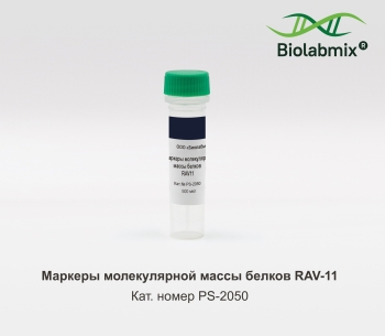 МАРКЕР МОЛЕКУЛЯРНОЙ МАССЫ БЕЛКОВ RAV-11, 500 МКЛ