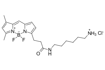 BDP FL АМИН, 100 MG, 614C0