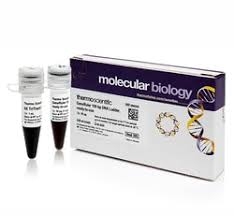 МАРКЕР ДЛИН ДНК GENERULER 100 BP, READY-TO-USE, 50 МКГ, АРТ. SM0243, THERMO FISHER SCIENTIFIC