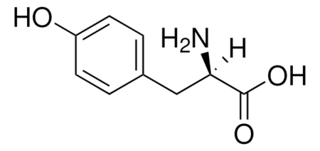 D-ТИРОЗИН (50Г) / D-TYROSINE