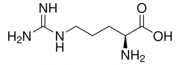 L-АРГИНИН (10Г) / L-ARGININE