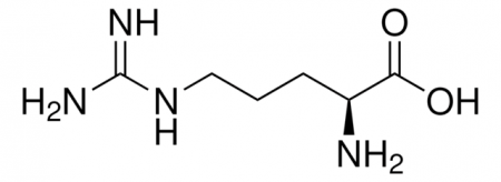 L-АРГИНИН (10Г) / L-ARGININE
