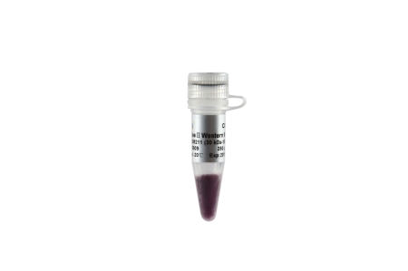 МАРКЕР ДЛИН БЕЛКОВ EASYSEE® II (30-150 КДА), 2 Х 250 МКЛ, АРТ. DM211-02, TRANSGEN BIOTECH CO