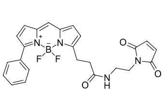 BDP R6G МАЛЕИМИД, 25 MG, 44480