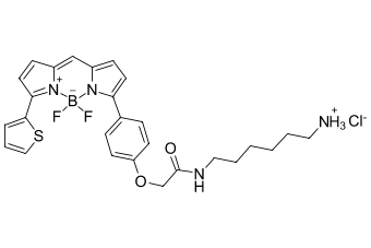 BDP TR АМИН, 1 MG, 134C0