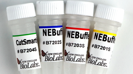 NEB-БУФЕР 1.1 (10Х, 5 МЛ), АРТ. B7201 S, NEW ENGLAND BIOLABS