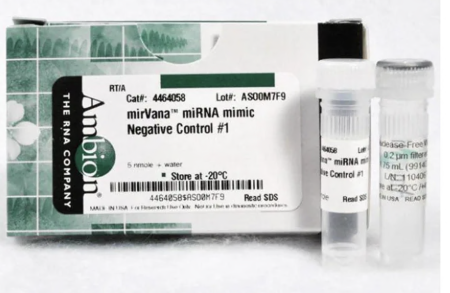 ОТРИЦАТЕЛЬНЫЙ КОНТРОЛЬ #1 MIRVANA™ MIRNA MIMIC, 5 НМОЛЬ, АРТ. 4464058, INVITROGEN