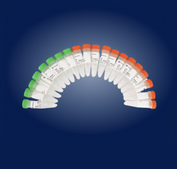 НАБОР TRUEPREP® INDEX KIT V2 ДЛЯ МУЛЬТИПЛЕКСИРОВАНИЯ БИБЛИОТЕК ILLUMINA, 192 РЕАКЦИИ , АРТ. TD202, VAZYME BIOTECH CO., LTD