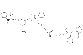 CYANINE7 ДБЦО, 10 MG, C50F0
