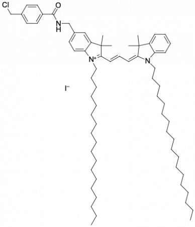CM-DII, ЛИПОФИЛЬНЫЙ ТРЕЙСЕР, 1 MG, 3513-1MG