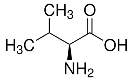 L-ВАЛИН (100 Г) /L-VALINE