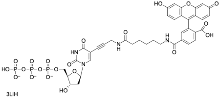 FAM-11-DUTP, 6-ИЗОМЕР, 50 NMOL, 2077-50NMOL