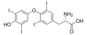 L-ТИРОКСИН (10Г) / L-THYROXINE