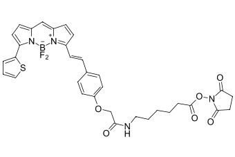 BDP 630/650-X-NHS-ЭФИР, 50 MG, 55420