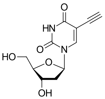 EDU (5-ЭТИНИЛ-2'-ДЕЗОКСИУРИДИН), 1 G, 40540