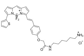 BDP 630/650 АМИН, 100 MG, 654C0