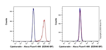 АНТИТЕЛА МОНОКЛОНАЛЬНЫЕ МЫШИНЫЕ RECOMBINANT ALEXA FLUOR® 488 ANTI-PAN CYTO, 100 МКЛ, ABCAM, AB277270