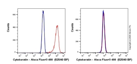 АНТИТЕЛА МОНОКЛОНАЛЬНЫЕ МЫШИНЫЕ RECOMBINANT ALEXA FLUOR® 488 ANTI-PAN CYTO, 100 МКЛ, ABCAM, AB277270