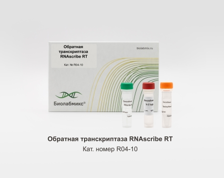 ОБРАТНАЯ ТРАНСКРИПТАЗА RNASCRIBE RT, 10 000 Е.А.