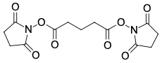 ДИСУКЦИНИМИДИЛГЛУТАРАТ (DSG), 1 G, 4018-1G