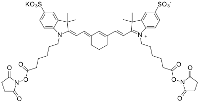 SULFO-CYANINE7 БИС-NHS ЭФИР, 1 MG, 153D0