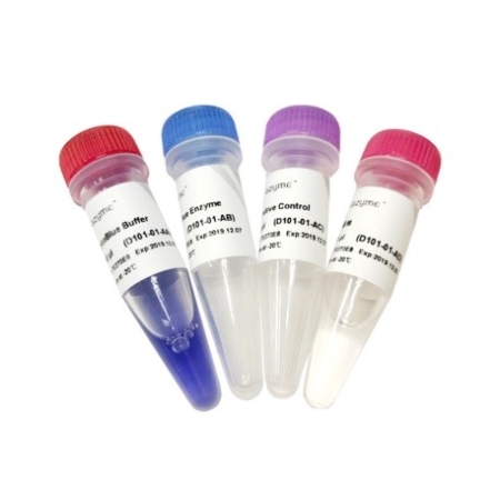 MYCOBLUE НАБОР ДЛЯ ДЕТЕКЦИИ МИКОПЛАЗМЫ, 50 РЕАКЦИЙ, АРТ. D101-02, VAZYME BIOTECH CO., LTD