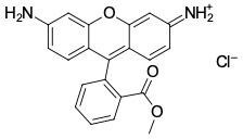 LUMITRACKER® MITO RHODAMINE 123, 25 MG, 2958-25MG