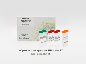 ОБРАТНАЯ ТРАНСКРИПТАЗА RNASCRIBE RT, 50 000 Е.А.