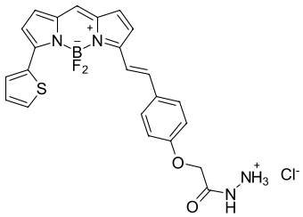 BDP 630/650 ГИДРАЗИД, 50 MG, 55470