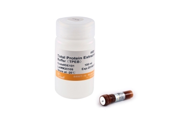 НАБОР PROTEINEXT® ДЛЯ ВЫДЕЛЕНИЯ ОБЩЕГО БЕЛКА ИЗ ТКАНЕЙ МЛЕКОПИТАЮЩИХ, 100 МЛ, АРТ. DE101-01, TRANSGEN BIOTECH CO