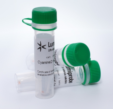 CYANINE2 ДЛЯ ДВУМЕРНОГО ЭЛЕКТРОФОРЕЗА, 25 NMOL, 3A041