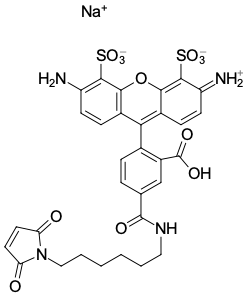 AF 488 МАЛЕИМИД, 1 MG, 11880