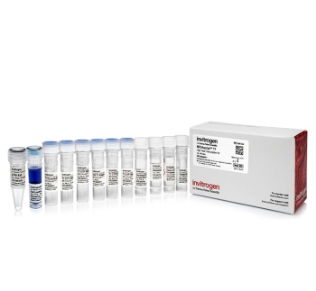 НАБОР ДЛЯ ТРАНСКРИПЦИИ TRANSCRIPTAID T7 HIGH YIELD, 50 РЕАКЦИЙ, АРТ. K0441, THERMO SCIENTIFIC