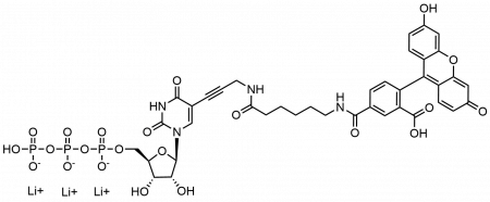 FAM-11-UTP, 6-ИЗОМЕР, 250 NMOL, 2714-250NMOL