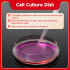 ЧАШКИ ПЕТРИ 100 ММ, СТЕРИЛЬНЫЕ (100 MM CELL CULTURE DISH), 10 ШТ/УП
