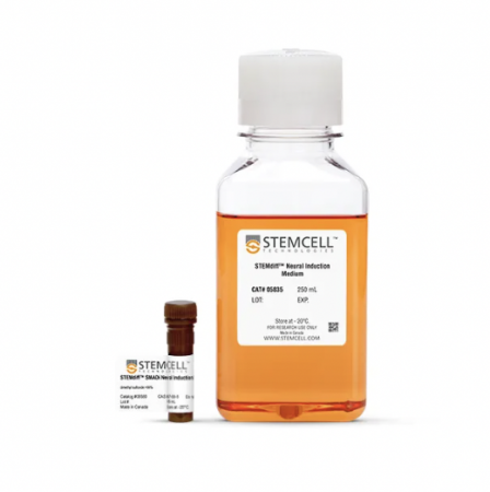 НАБОР STEMDIFF™ SMADI ДЛЯ ВЫСОКОЭФФЕКТИВНОЙ НЕЙРАЛЬНОЙ ИНДУКЦИИ, АРТ. 8581, STEMCELL TECHNOLOGIES