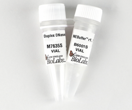 ДУПЛЕКСНАЯ ДНКАЗА, 2000 Е.А./МЛ, 750 Е.А., АРТ. M7635 L, NEW ENGLAND BIOLABS INC.