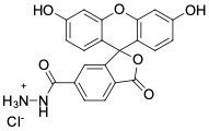 FAM ГИДРАЗИД, 6-ИЗОМЕР, 1 MG, 15170