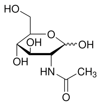 N -АЦЕТИЛ-D-ГЛЮКОЗАМИН (25Г) /N-ACETYL-D-GLUCOSAMINE