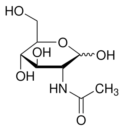 N -АЦЕТИЛ-D-ГЛЮКОЗАМИН (25Г) /N-ACETYL-D-GLUCOSAMINE