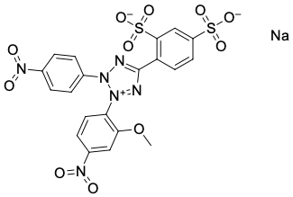 WST-8, РЕАГЕНТ ДЛЯ АНАЛИЗА ПРОЛИФЕРАЦИИ КЛЕТОК, 500 MG, 4868-500MG