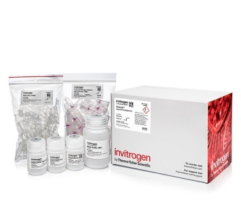 НАБОР PURELINK™ ДЛЯ ОЧИСТКИ ПЦР, 50 РЕАКЦИЙ, АРТ. K310001, THERMO FISHER SCIENTIFIC